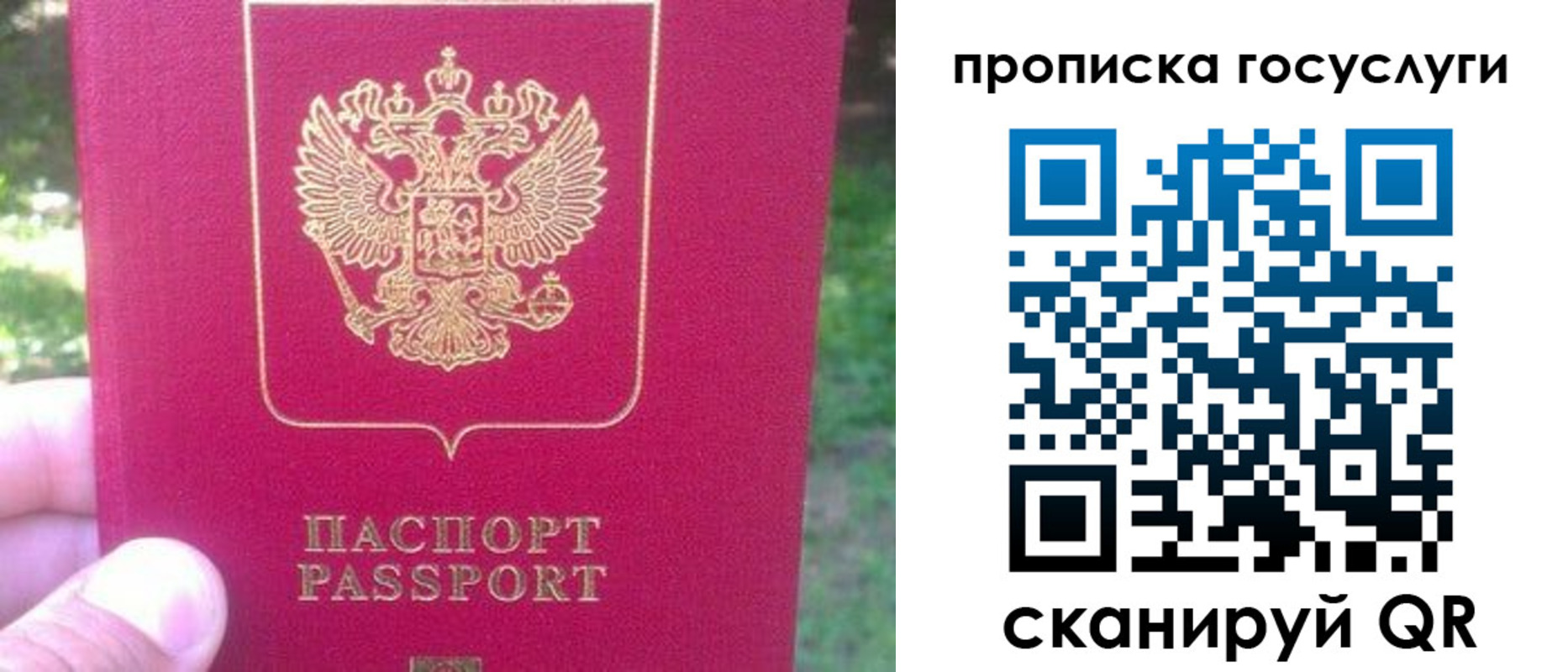 временная регистрация собственник в Кудрово